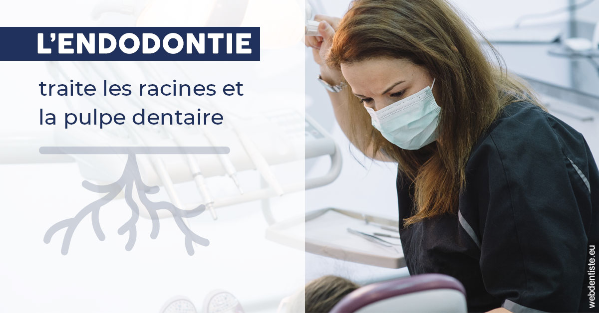 https://dr-virapin-apou-jeanmarc.chirurgiens-dentistes.fr/L'endodontie 1
