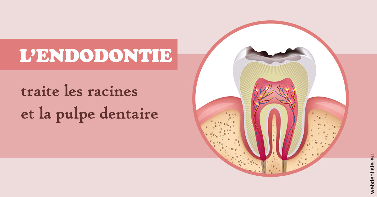 https://dr-virapin-apou-jeanmarc.chirurgiens-dentistes.fr/L'endodontie 2