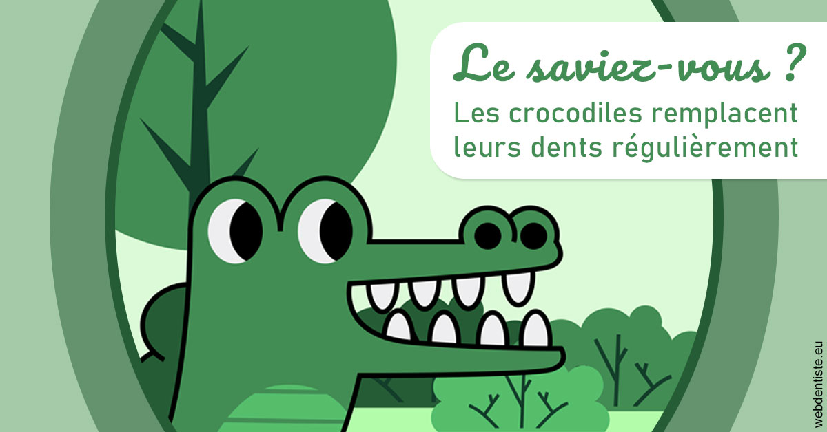 https://dr-virapin-apou-jeanmarc.chirurgiens-dentistes.fr/Crocodiles 2