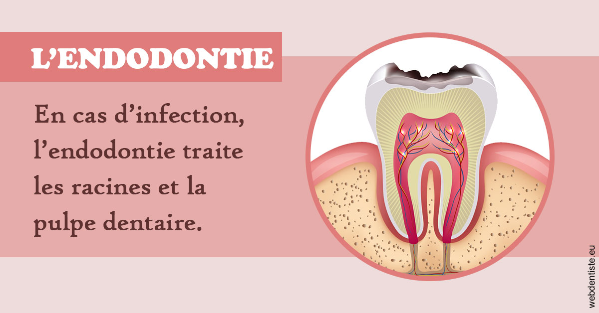 https://dr-virapin-apou-jeanmarc.chirurgiens-dentistes.fr/L'endodontie 2
